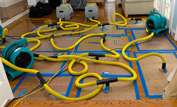 Professional Water Damage Repair technician working in Racine, WV